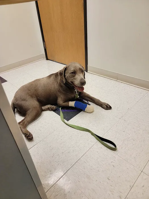 Elizabeth Animal Hospital Picture 8