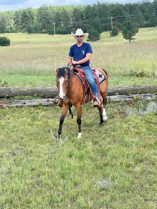 Cherry Creek Equine Picture 1
