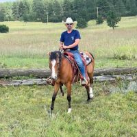 Cherry Creek Equine ico