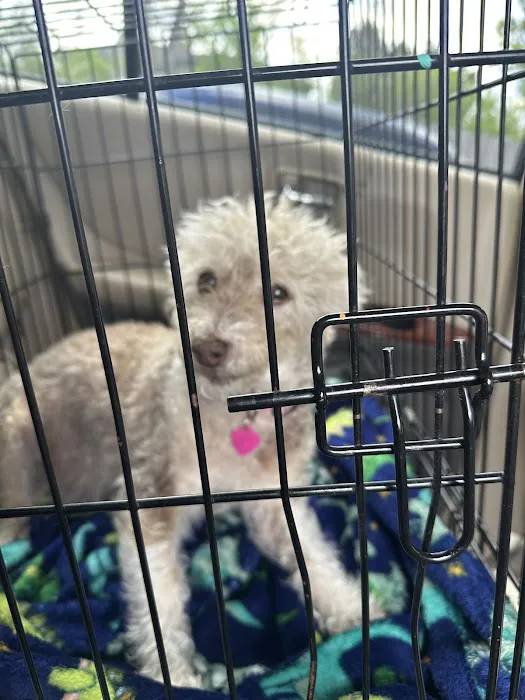 VCA Douglas County Animal Hospital Picture 1