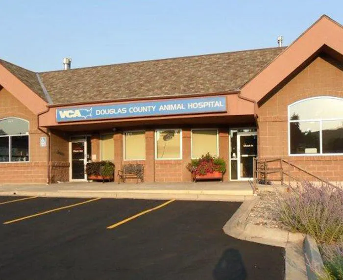 VCA Douglas County Animal Hospital Picture 5