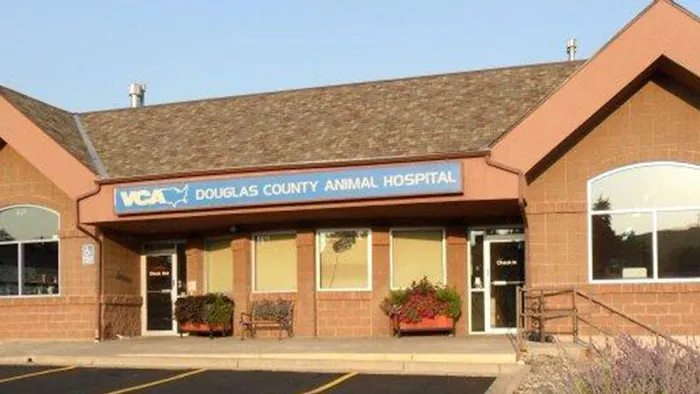 VCA Douglas County Animal Hospital Picture 6
