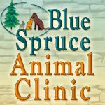 Veterinarian: Jasmine Tom, DVM