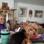 Brekke Veterinary Clinic Aloha Street