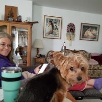 Brekke Veterinary Clinic Aloha Street ico
