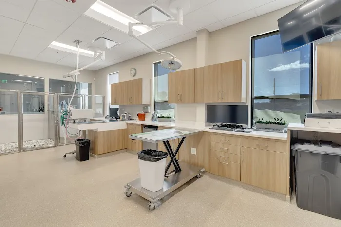 Brekke Veterinary Clinic Aloha Street Picture 6