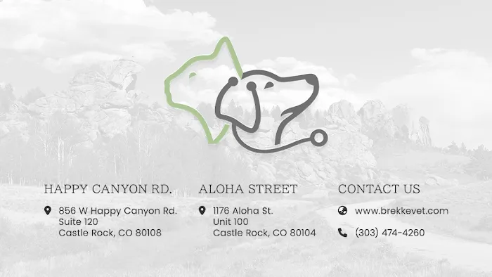 Brekke Veterinary Clinic Aloha Street Picture 9