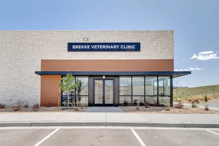 Brekke Veterinary Clinic Aloha Street Picture 10