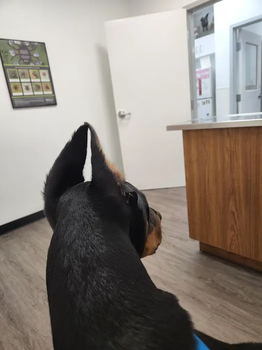 Pinnacle Animal Hospital Picture 2