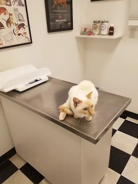 Pinnacle Animal Hospital Picture 10
