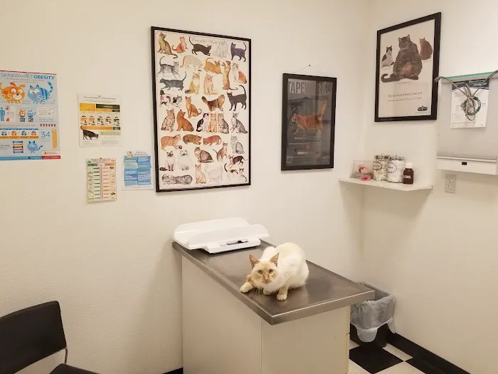 Pinnacle Animal Hospital Picture 8