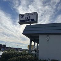 Cal West Pet Hospital ico