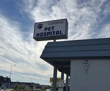 Cal West Pet Hospital