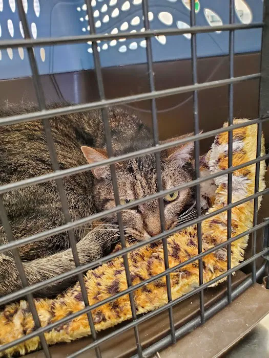 Cal West Pet Hospital Picture 10