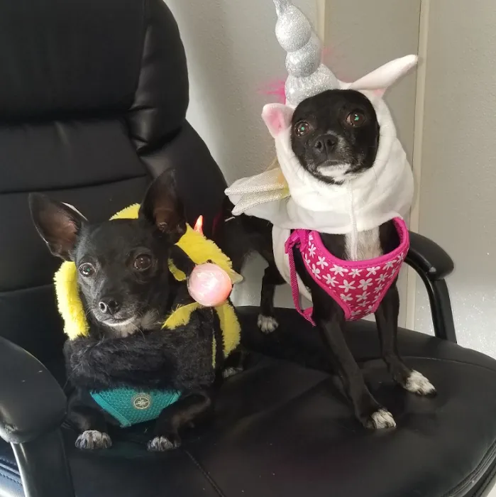 All 4 Paws Veterinary Hospital Picture 8