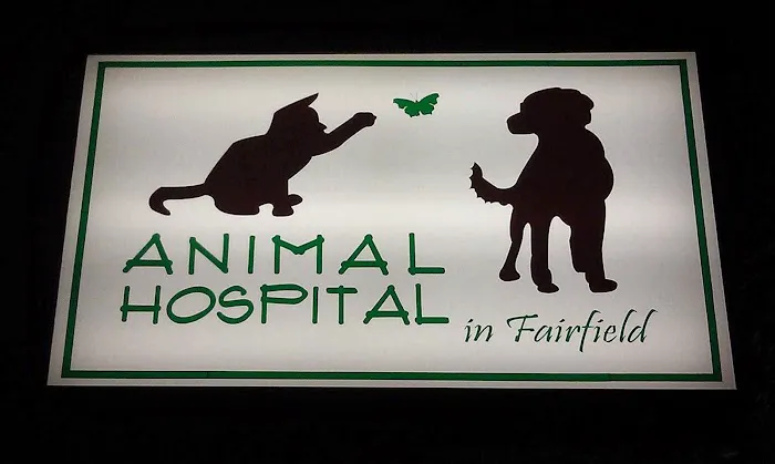 Animal Hospital in Fairfield Picture 10