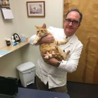 Fairfield Animal Hospital ico
