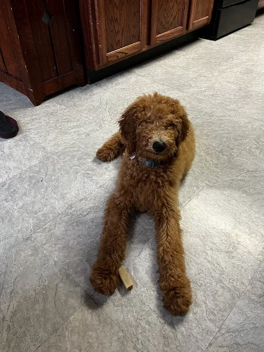 Fairfield Animal Hospital Picture 10