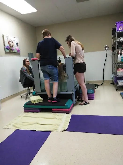 The Canine Rehabilitation Center Picture 5