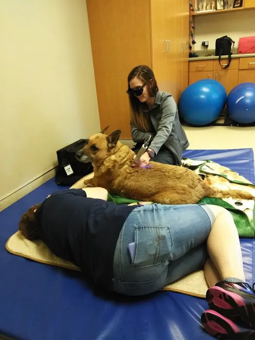 The Canine Rehabilitation Center Picture 3