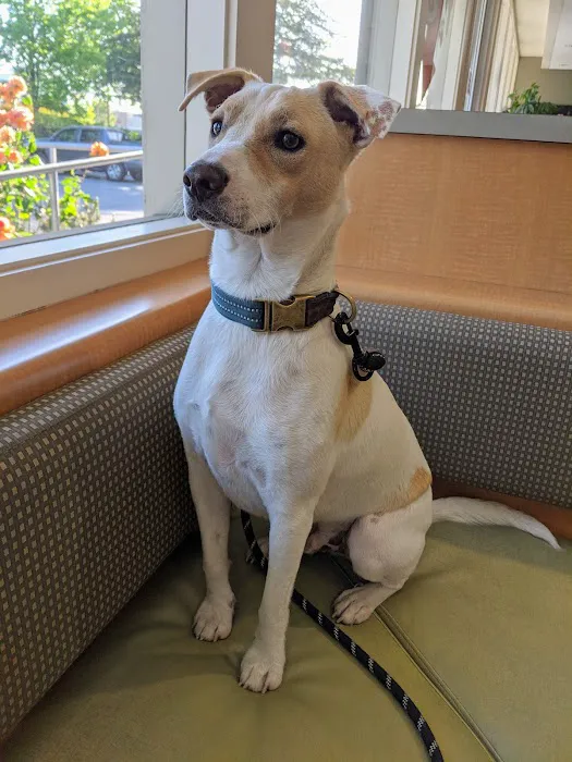 Muller Veterinary Hospital Picture 1