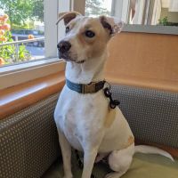 Muller Veterinary Hospital ico