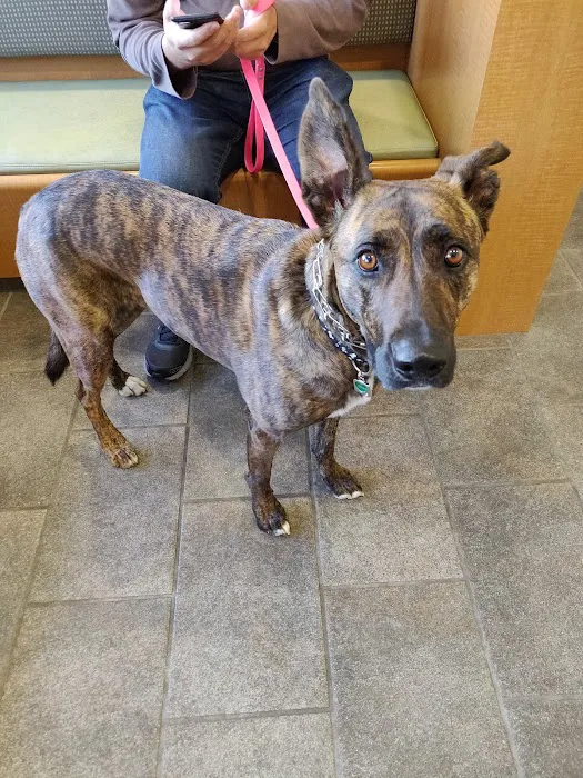 Muller Veterinary Hospital Picture 6