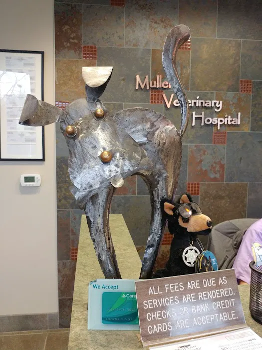 Muller Veterinary Hospital Picture 5