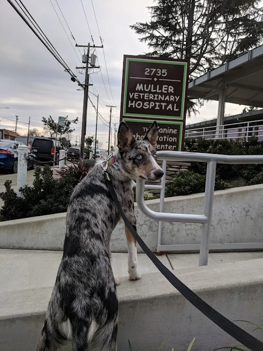 Muller Veterinary Hospital Picture 7