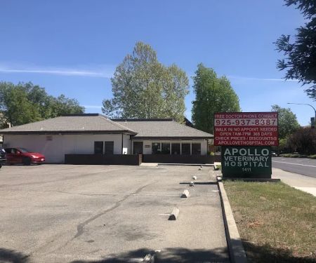 Apollo Veterinary Hospital