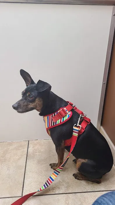 Apollo Veterinary Hospital Picture 5