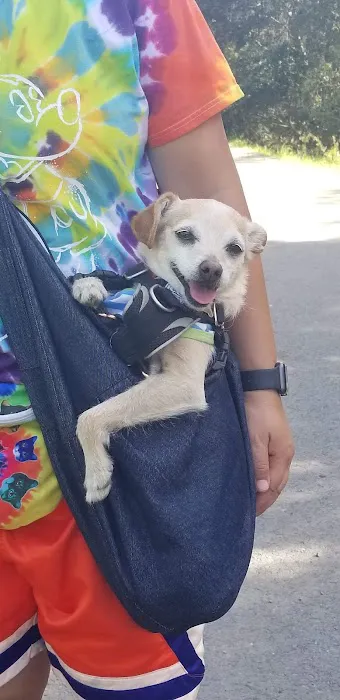 Pets Eternal Rest Picture 4