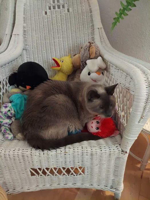 Pets Eternal Rest Picture 3