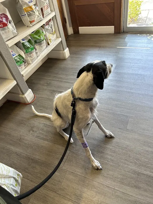Ygnacio Animal Hospital Picture 3