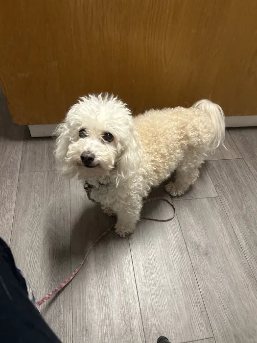 Ygnacio Animal Hospital Picture 8
