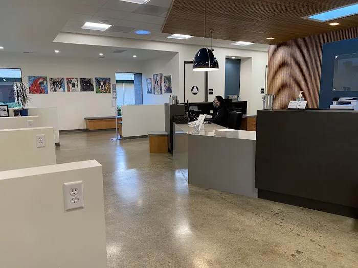 Walnut Creek Veterinary Hospital Picture 1