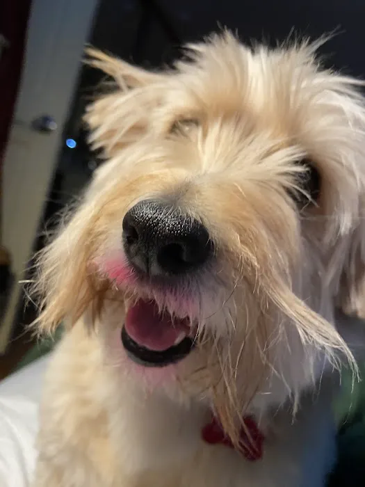 Walnut Creek Veterinary Hospital Picture 7