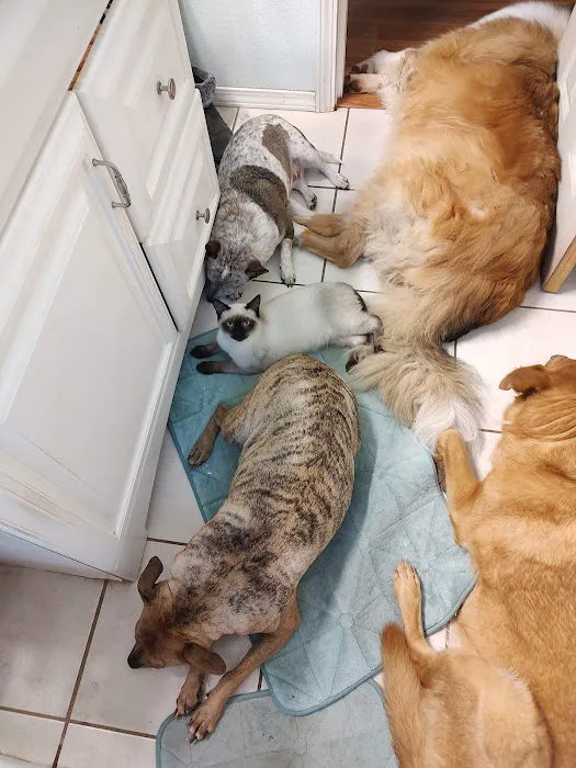 Walnut Creek Veterinary Hospital Picture 9
