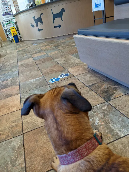 Four Corners Veterinary Hospital Picture 4