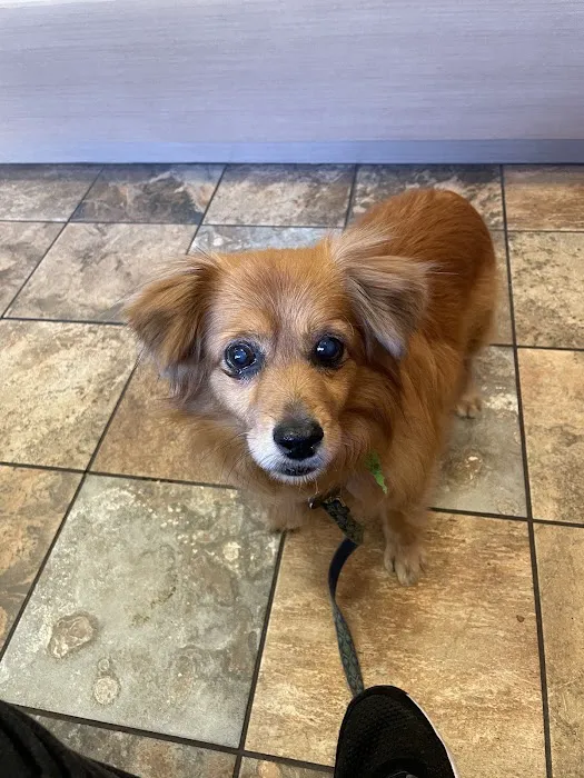 Four Corners Veterinary Hospital Picture 1