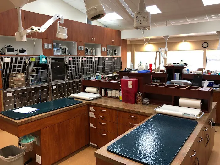 Lafayette Veterinary Hospital Picture 2