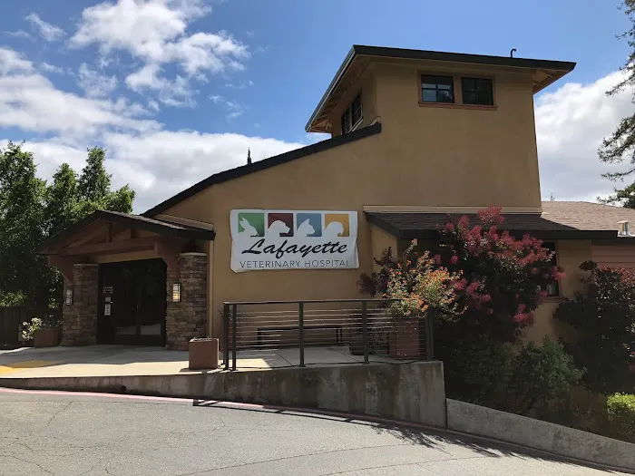 Lafayette Veterinary Hospital Picture 5