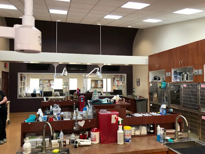 Lafayette Veterinary Hospital Picture 8