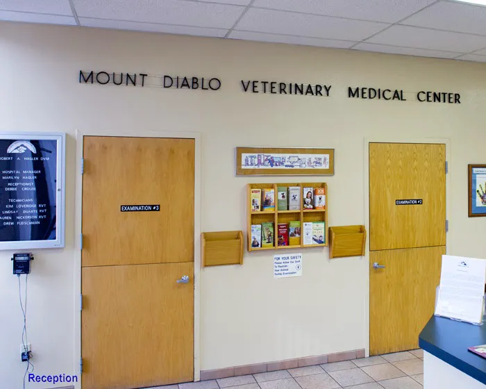 Mt. Diablo Veterinary Medical Center Picture 7