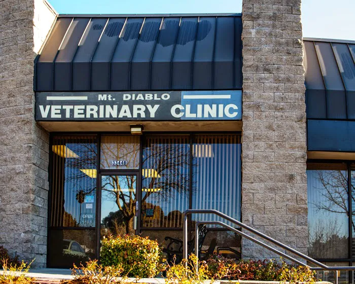 Mt. Diablo Veterinary Medical Center Picture 8