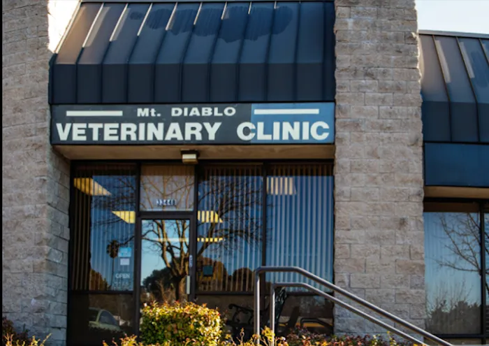 Mt. Diablo Veterinary Medical Center Picture 10