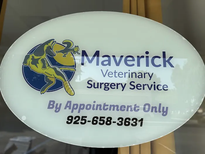 Maverick Veterinary Surgery Services Picture 4