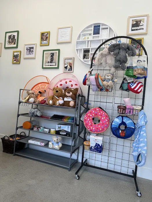Maverick Veterinary Surgery Services Picture 3