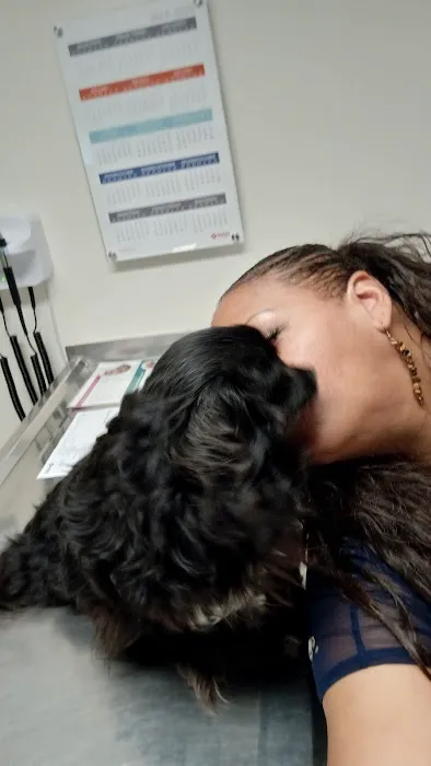 Banfield Pet Hospital Picture 3