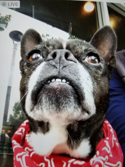 Banfield Pet Hospital Picture 5
